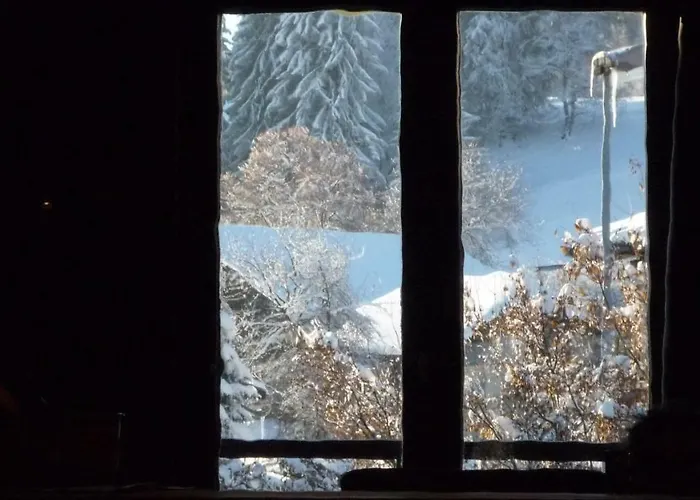 Appartement Du Petit Bois
